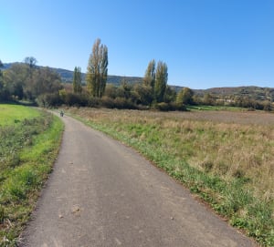 Boucle de Plesnois en passant par Fèves et Norroy-le-Veneur - Plesnois - 4