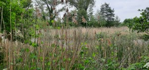 Gîte- en Deûleparken - Houplin-Ancoisne - 12