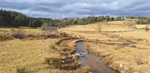Franquetwaterval, een prachtige wandeling - Saint-Alban-sur-Limagnole - 6