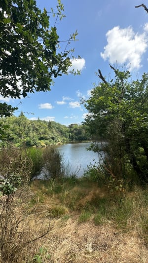 Sentier du château - Sidiailles - 22