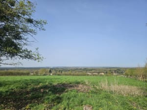 Sortie en forêt à Montfort-le-Gesnois - Montfort-le-Gesnois - 3