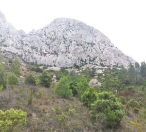 Uitstapje naar Vingrau en de charmes van de garrigue - Vingrau - 3