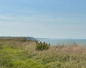 Tracy sur mer - Tracy-sur-Mer - 8