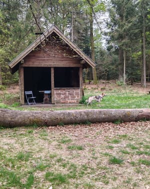Sur les hauteurs de Rothbach - Rothbach - 3