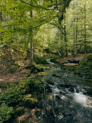 Source bleue et lac de Saint-Point - Malbuisson - 26