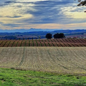 Mirepoix, par le hameau de Tourrens - Anna - 4