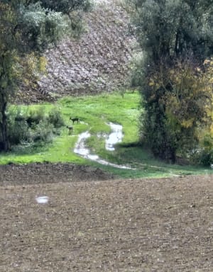Mirepoix, par le hameau de Tourrens - Anna - 5