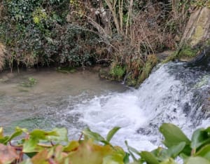 Balade au bord de l'eau les Andelys - cindy - 9