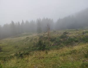Au cœur du Val d'Azin et paysages à couper le souffle - Arbéost - 15