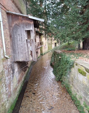 Balade au bord de l'eau les Andelys - cindy - 10