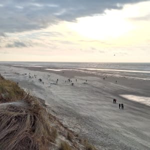 Flânerie au Touquet et rencontres iodées - Le Touquet-Paris-Plage - 11