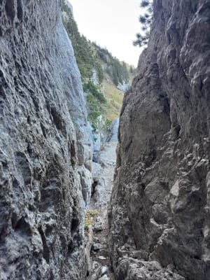 Périple aventureux à la dent de Crolles par le pas de l'Oeille - Col du Coq, Plateau-des-Petites-Roches - 7