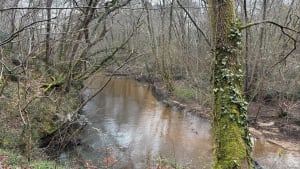 Plaine des Bijes - balade le long de la Jalle - Saint-Médard-en-Jalles - 12