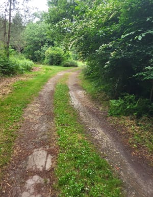 Petite boucle des Airials, site de Massy - Gaillères - 13