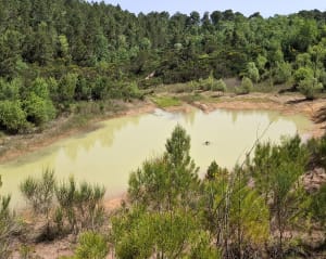 Bollène, les champignonnières et le Lac Vert - Bollène - 16