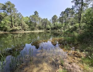 Bollène, les champignonnières et le Lac Vert - Bollène - 18