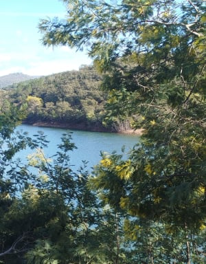 Lac de Trapan et son écrin de verdure - Bormes-les-Mimosas - 30