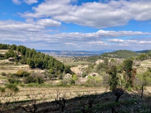 Les dentelles à Gigondas - Cyrielle - 22