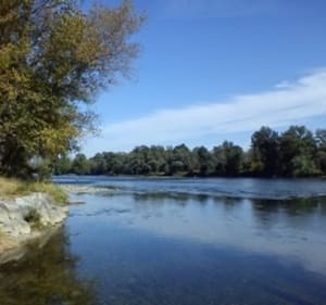 Boucle Pinsaguel par bord de Garonne - Pinsaguel - 2