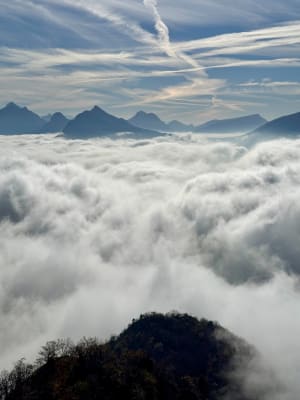 Wandelen naar de Mont Veyrier vanuit Veyrier-du-lac - Veyrier du Lac - 25