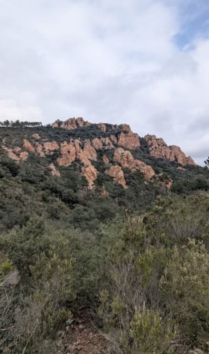 Mandelieu-la-Napoule depuis les hauteurs et riche passé - Mandelieu-la-Napoule - 28