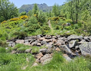 Départ Monts d'Olmes, en passant par pic et cols - Samuel - 4