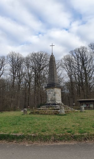Les étangs de Vilpert et Bois de Hollande - Saint-Léger-en-Yvelines - 2