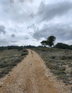 Château de Mornas - Mornas - 12