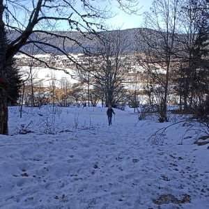 Au coeur du Vercors et des forêts des Feynets - Autrans-Méaudre en Vercors - 3