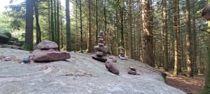 Autour sur temple du Donon et le petit Donon - Grandfontaine - 26