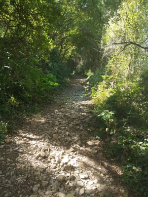 Entre les deux roches de Solutré et Vergisson - Davayé - 7