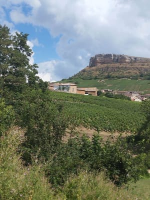 Entre les deux roches de Solutré et Vergisson - Davayé - 8