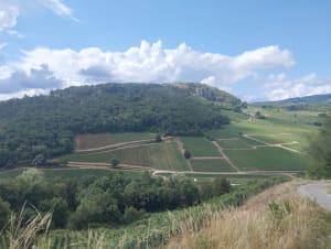 Entre les deux roches de Solutré et Vergisson - Davayé - 9