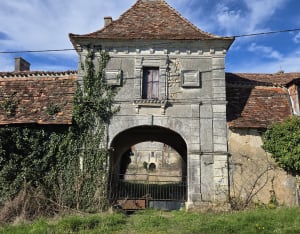 Balade à Segonzac. - Segonzac - 5