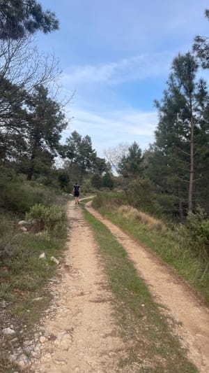 Het achterland van Grasse en een prachtig panorama - Grasse - 16