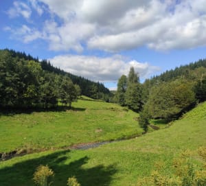 Saint-Léger-sous-Beuvray et coups de cœur au mont Beuvray - Saint-Léger-sous-Beuvray - 9
