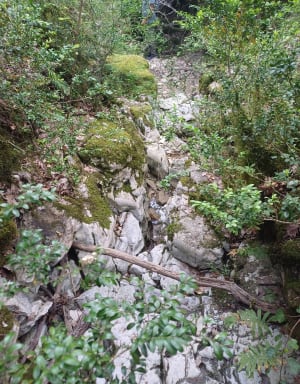 Gorges d'Oppedette - Nathalie - 27