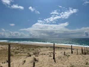 Réserve de la Maillouèyre : dunes, forêts et vues sur la mer - Hugo - 14