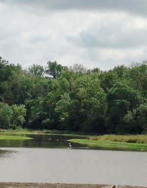 Parc des quinze sols - Beauzelle - 18