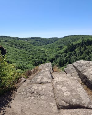 Rando au départ des Roches d'Oêtre par la Rouvre et Saint-Philbert-sur-Orne - Saint-Philbert-sur-Orne - 17