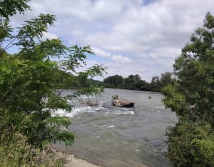 Parc des quinze sols - Beauzelle - 21