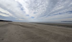 Het strand, een kwetsbaar toevluchtsoord - Cricquebœuf - 18