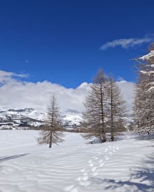 Plateau Saint-Jean de Beuil-les-Launes - Beuil - 2