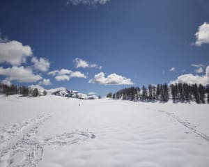 Plateau Saint-Jean de Beuil-les-Launes - Beuil - 3