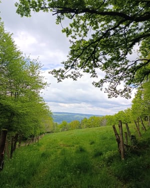 Rando au départ des Moulinots - Argentat-sur-Dordogne - 11