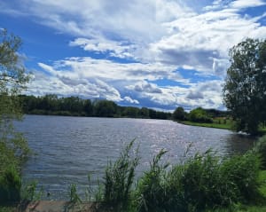 Balade à l’étang de Lamarche sur Saône - Sabrina - 3