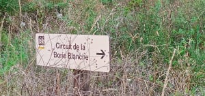 Bol d'air à Monestié - Monestiés - 7