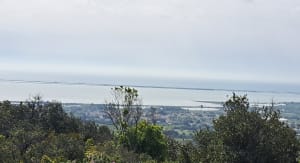 Jolie promenade dans la gardiole par le circuit automobiles - Fabrègues - 3