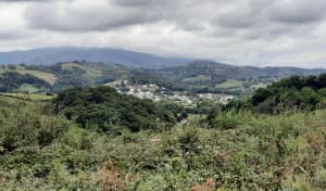 Sur les sentiers des guerres napoléoniennes - Saint-Pée-sur-Nivelle - 6