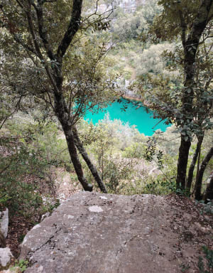 Wandel in het domein van de eouvières - Baudinard-sur-Verdon - 56